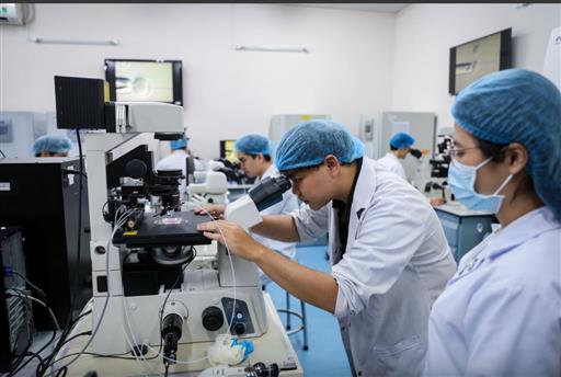 PGS.TS Đỗ Phú Trần Tình: Đại học quốc gia trong kỷ nguyên mới của dân tộc: Kiến tạo phát triển