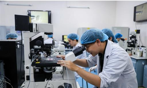Sắp xếp đại học để kiến tạo những trường mạnh hơn