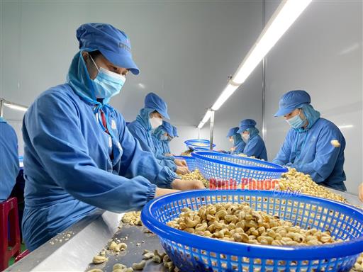 PGS.TS ĐỖ PHÚ TRẦN TÌNH: BÌNH PHƯỚC CẦN “ĐỨNG TRÊN VAI NGƯỜI KHỔNG LỒ” ĐỂ THÚC ĐẨY KINH TẾ SỐ